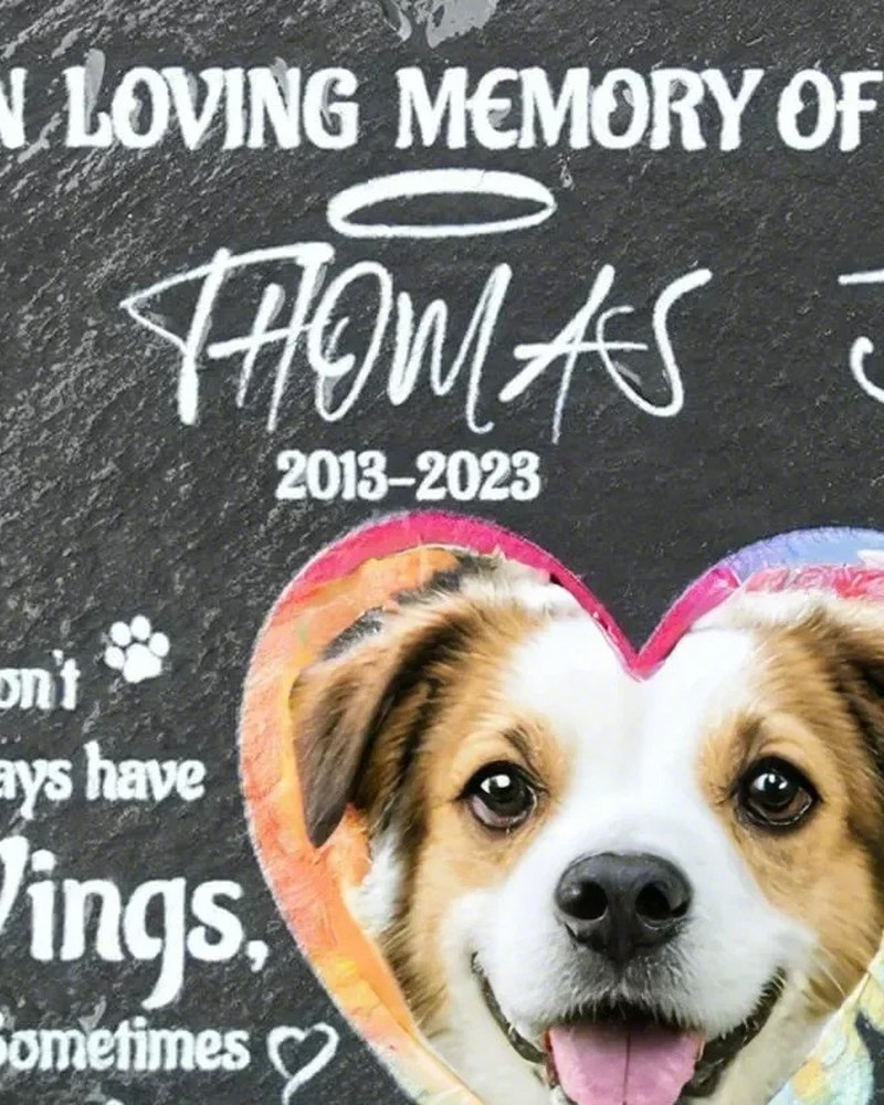 Pet Crystals